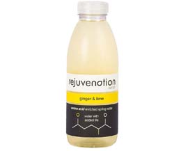 Rejuvenation Water Bottle - Ginger & Lime - 12x500ml