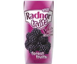 Radnor Fruits Still - Tetra - Forest Fruits - 24x200ml