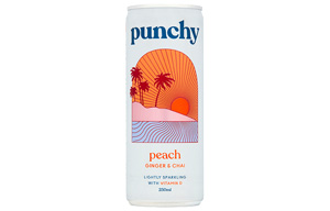 Punchy Soft Punch - Peach, Ginger & Chai Spice - 12x250ml