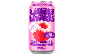 Living Things - Prebiotic and Probiotic Soda - Raspberry & Pomegrante - 12x330ml