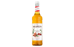 Monin - Plastic - Gingerbread Syrup - 1x1L